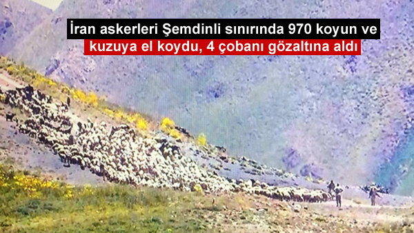 İran askerleri Şemdinli sınırında 970 koyun ve kuzuya el koydu, 4 çobanı gözaltına aldı