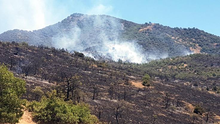 Dersim’deki orman yangını geniş bir alana yayıldı