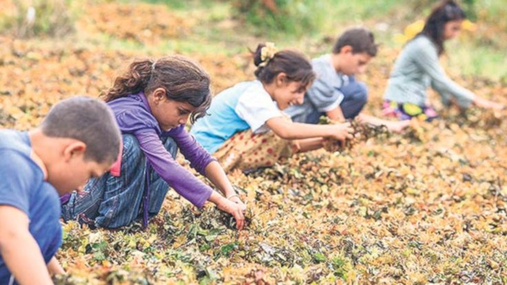 Çocuk Hakları Günü: 10 ayda 61 çocuk işçi yaşamını yitirdi!