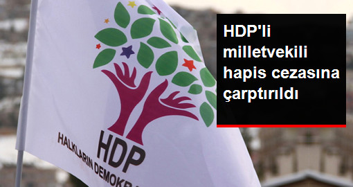 HDP milletvekili Mahmut Toğrul’a hapis cezası