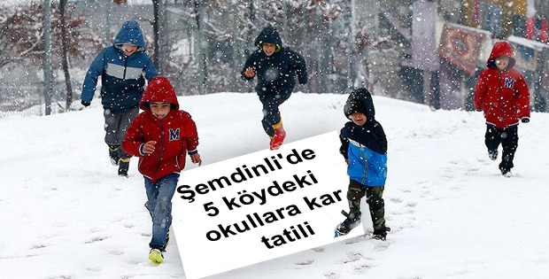 Şemdinli’de 5 köydeki okullara kar tatili