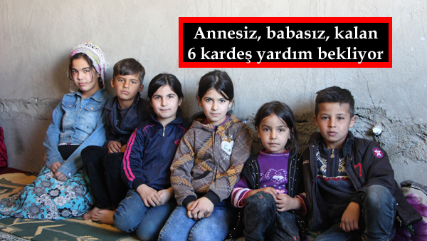 Annesiz, babasız, kalan 6 kardeş yardım bekliyor