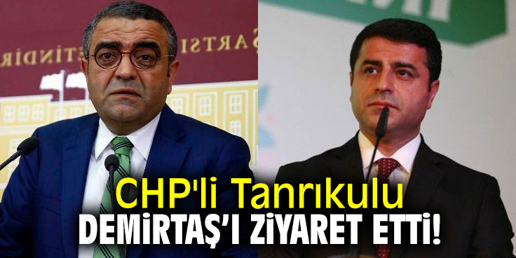 Sezgin Tanrıkulu, Demirtaş’a gitti: Yeri cezaevi olmamalı