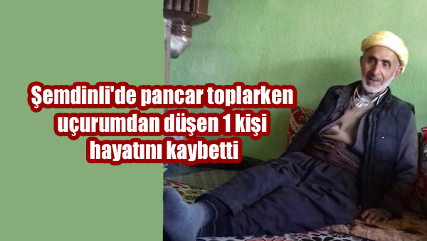 Şemdinli’de uçurumdan düşen 1 kişi hayatını kaybetti