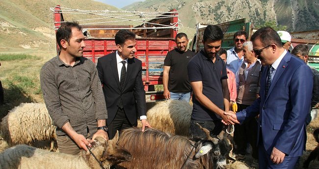 Hakkari’de 47 aileye 987 küçükbaş hayvan dağıtıldı