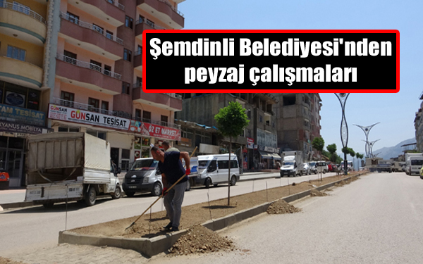 Şemdinli Belediyesi’nden peyzaj çalışmaları