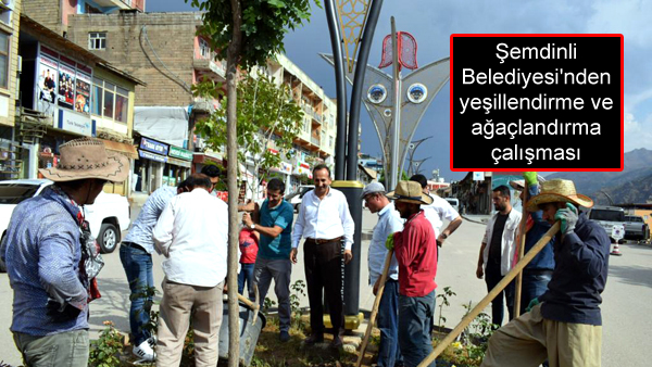 Şemdinli Belediyesi’nden yeşillendirme ve ağaçlandırma çalışması