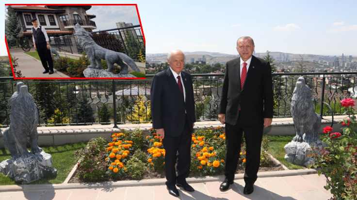 Erdoğan Bahçeli’ye fotoğraf için gitmiş