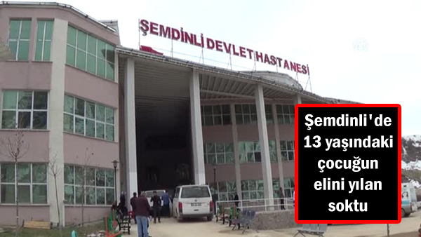 Şemdinli’de 13 yaşındaki çocuğu yılan soktu