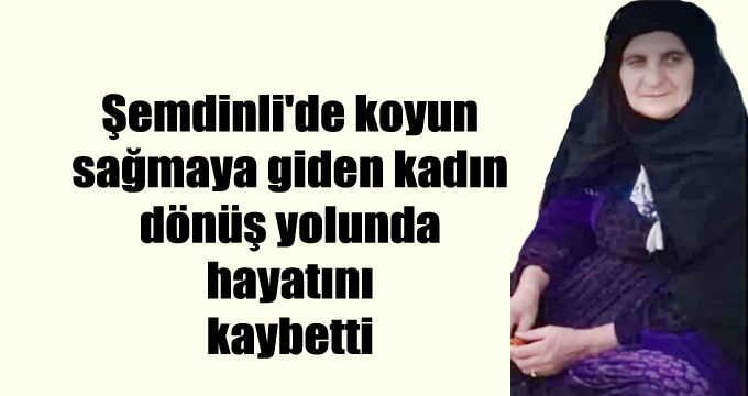 Şemdinli’de koyun sağmaya giden kadın dönüş yolunda hayatını kaybetti