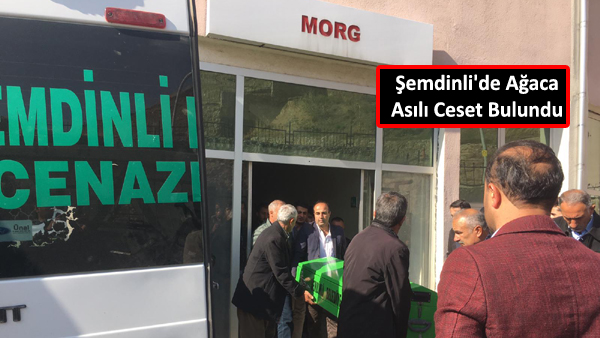 Şemdinli’de Ağaca Asılı Ceset Bulundu