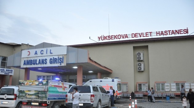 Yüksekova’da bir kişi babasını öldürdü, annesini yaraladı