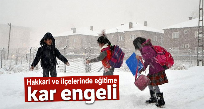 Hakkari ve ilçelerinde eğitime kar engeli