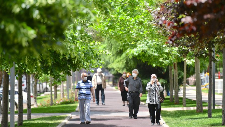 65 yaş üstü ‘turizm belgesi’ ile seyahat edebilecek