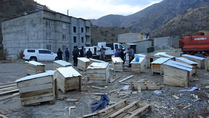 Şemdinli Belediyesi sokak hayvanları için 150 kulübe yaptı