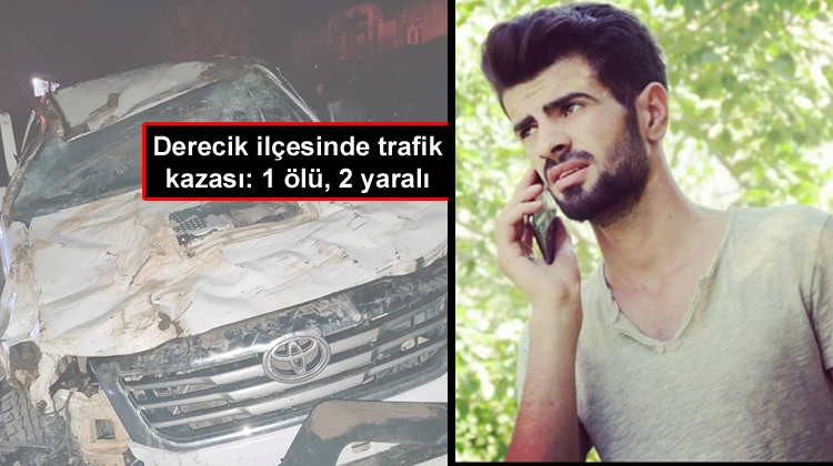 Derecik ilçesinde trafik kazası: 1 ölü, 2 yaralı