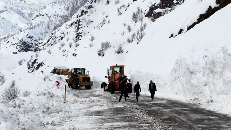 Doğu Anadolu ve Doğu Karadeniz için çığ uyarısı