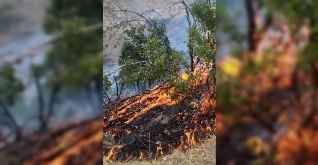 Hakkari Barosundan Şemdinli yangını açıklaması