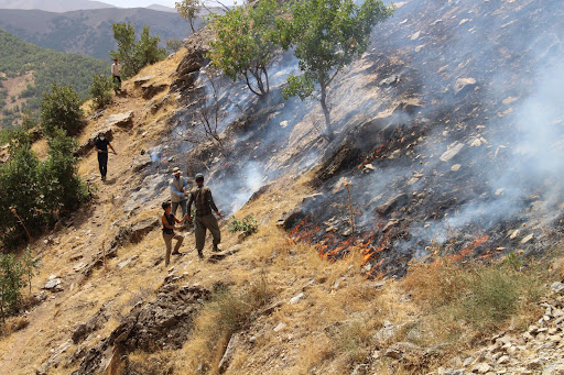 Hakkari Valiliği: Şemdinli’deki yangın kontrol altına alındı