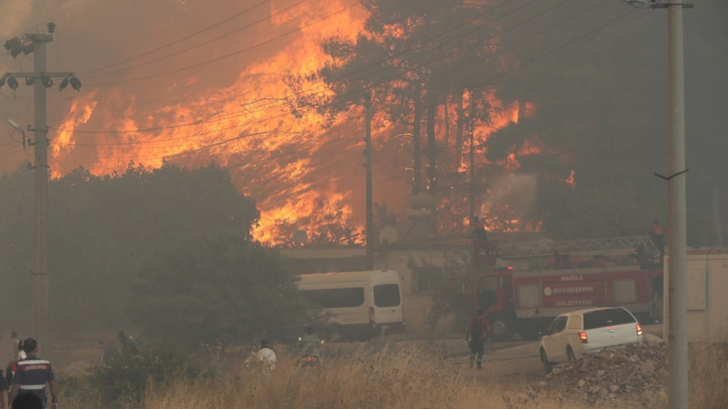 TTB’den ‘Muğla’ yangınları raporu: 1 ölüm 49 yaralanma var