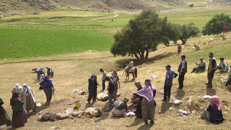 Yüksekova’da yıldırım isabet eden 30 koyun öldü