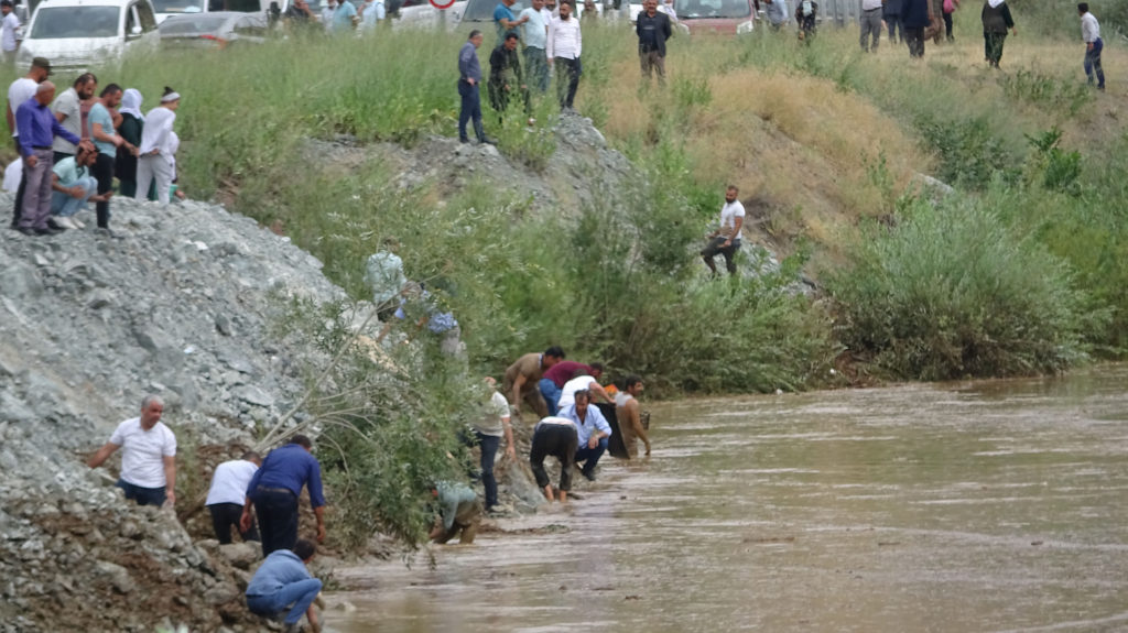 Yükselen Zap Suyu’nda binlerce balık öldü; düğüncüler balıklar için birbiriyle yarıştı