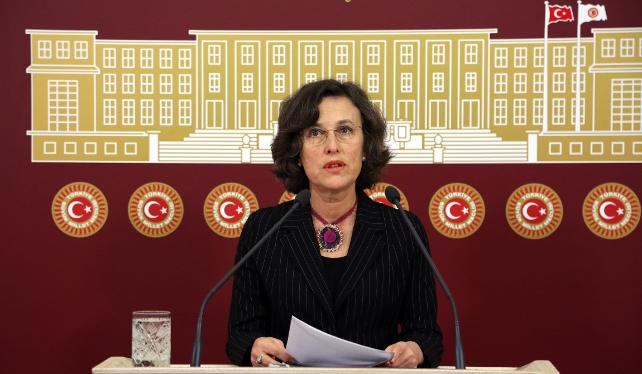 Filiz Kerestecioğlu: Türkiye’de bir Çocuk Bakanlığı kurulmalı