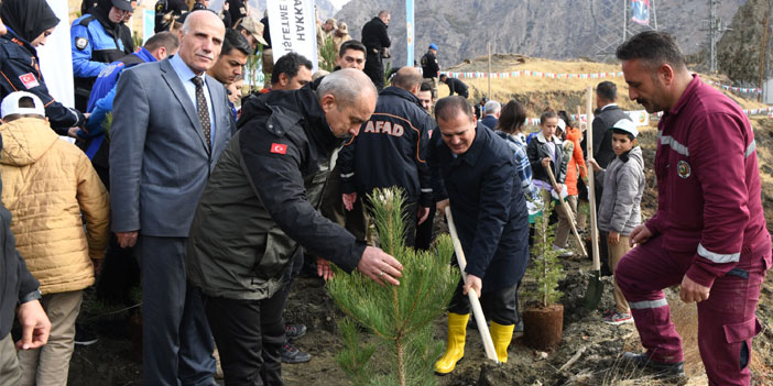 Hakkari’de 2 bin 500 fidan dikildi