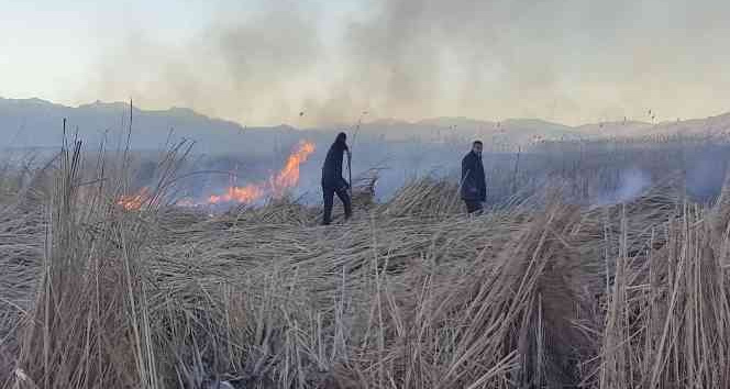 Birçok kuş türünün yaşadığı Nehil Sazlığı’nda yangın