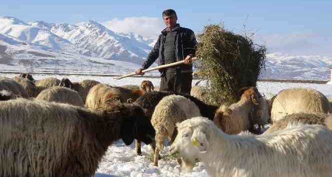 Besicilerin 6 ay süren kış mesaisi başladı