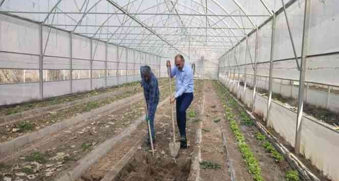 Çukurca Belediyesinin seralarında yeni ürünlerin ekimine başlandı