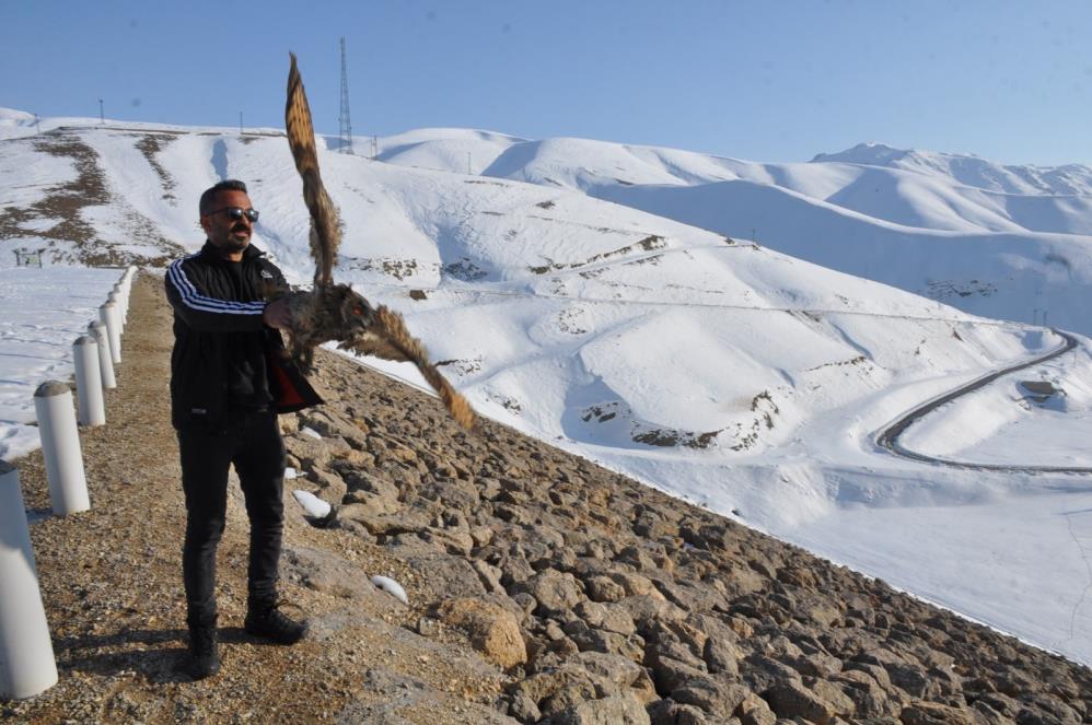 Tedavi edilen puhu kuşu doğaya bırakıldı