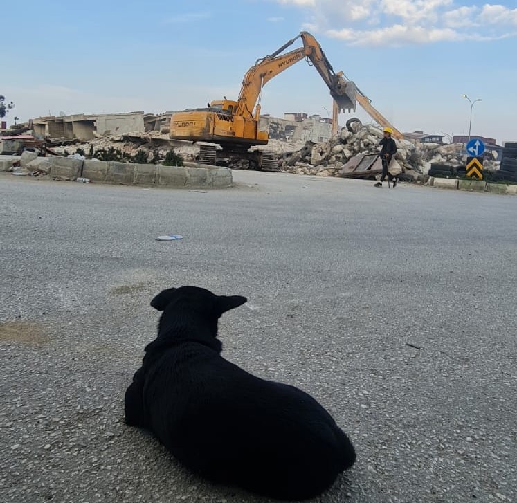 Enkaz başından ayrılmayan can dost