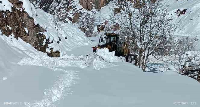 Hakkari’de 61 köy ve mezra yolu kapandı