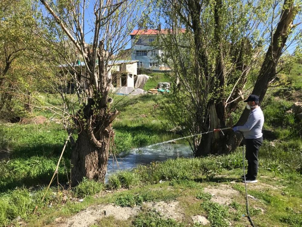 Hakkari’de sineklere karşı ilaçlama çalışmaları