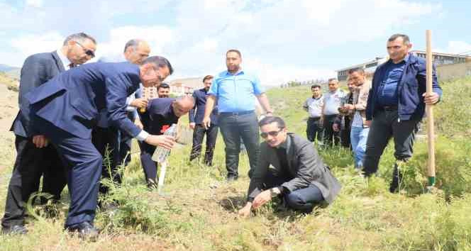 Hakkari’de “Dünya Tütünsüz Günü’nde fidan dikildi