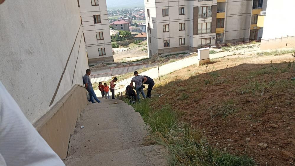 Kuyuya düşen yavru kediyi ekipleri kurtardı