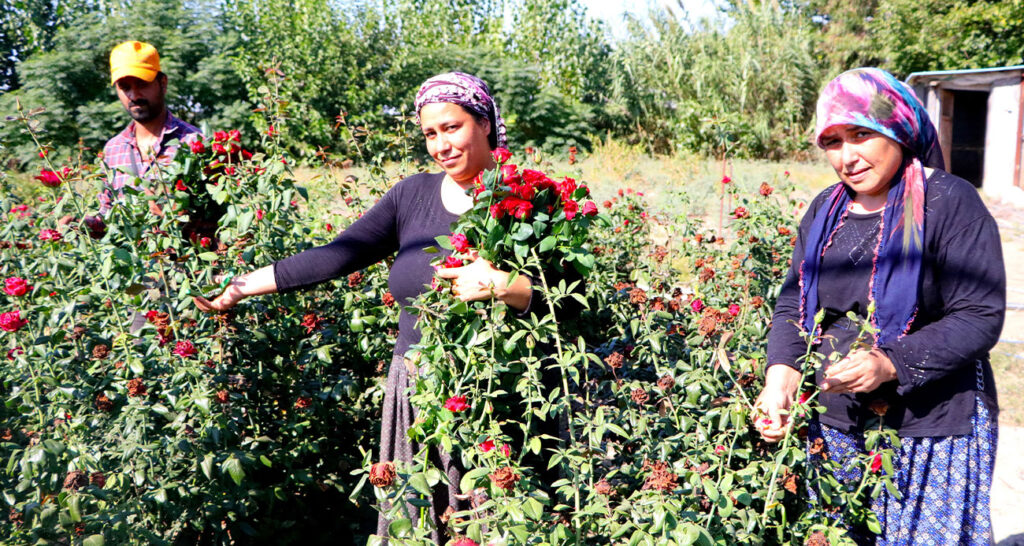 Bu sera hem işsiz kadınları istihdam ediyor hem de çocukların yüzünü güldürüyor