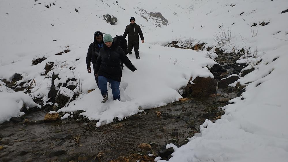 Hakkari’de toynağı kopan at kurtarıldı