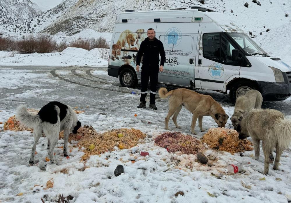 Hakkari’de sokak hayvanlarına yiyecek bırakıldı