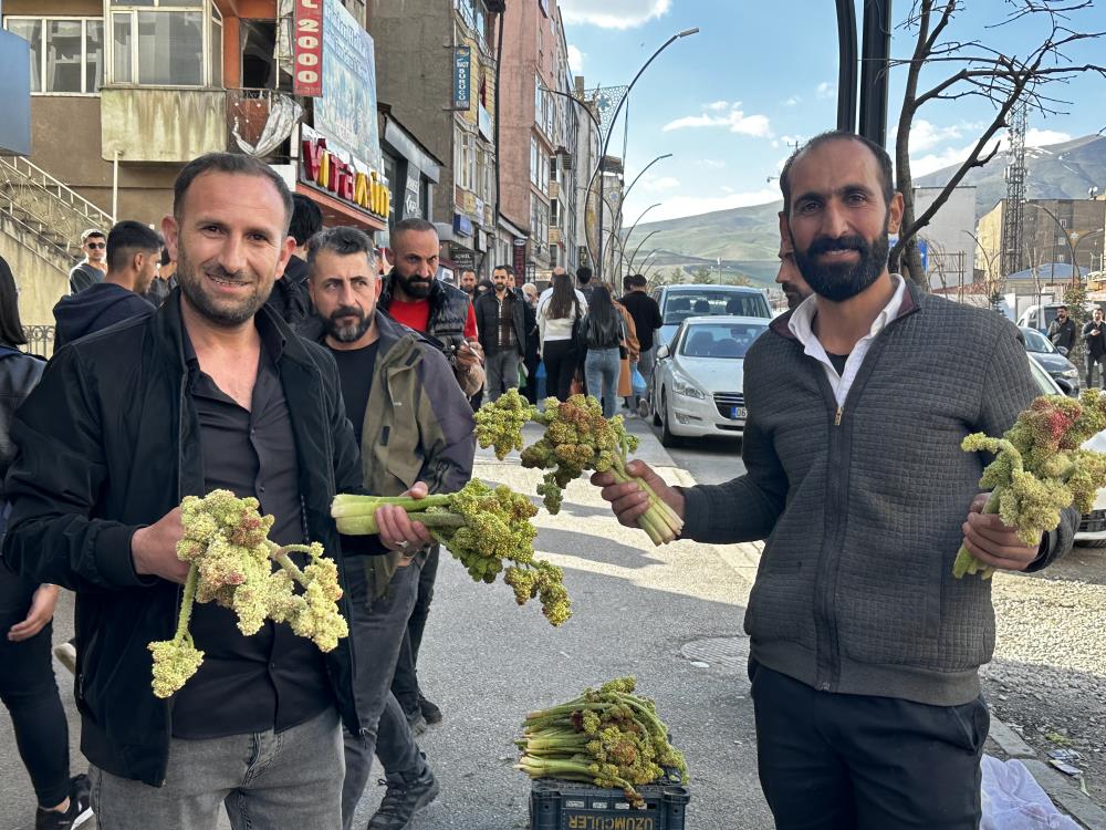 Yüksekova’da yayla muzunun destesi 100 TL’den satışa çıkarıldı