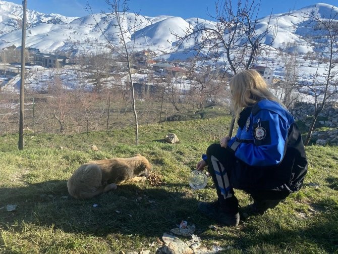 Emniyet personeli can dostları besledi