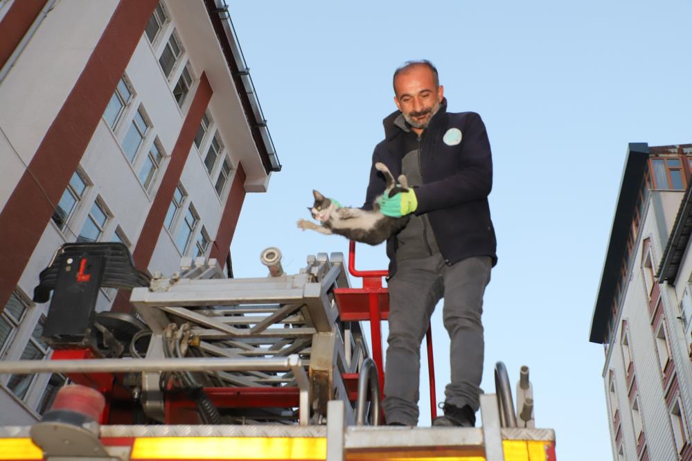 Hakkari’de 4 katlı binada mahsur kalan yavru kedi kurtarıldı