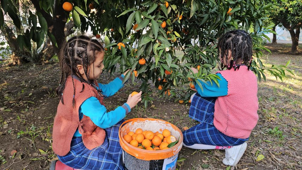 Aydın’dan Şemdinli’deki engellilere vefa köprüsü